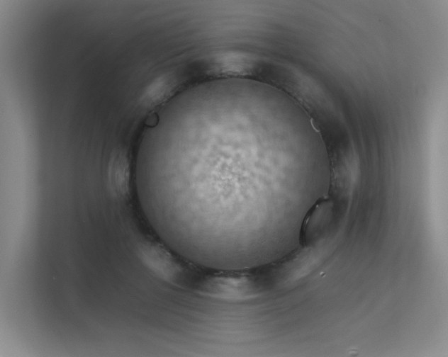 X0000112010552200908101344