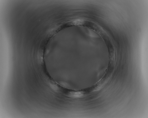 X0000112010553200908101344