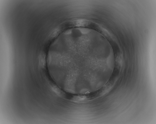 X0000112010554200908101344