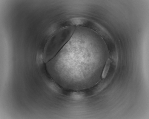 X0000112010556200908101344