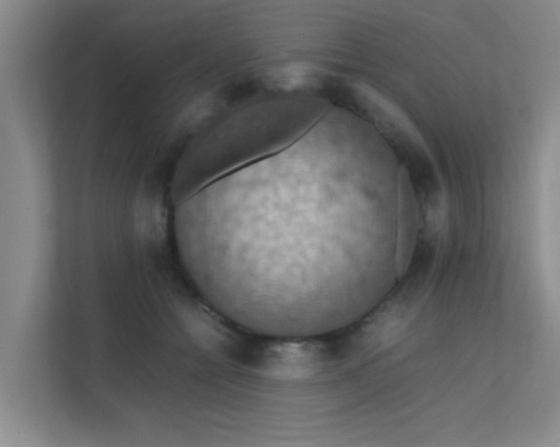 X0000112010558200908101344