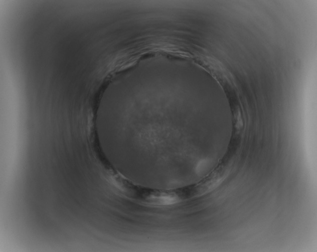 X0000112010559200908101344