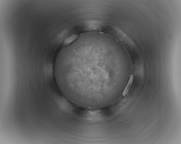 X0000112010560200908101344