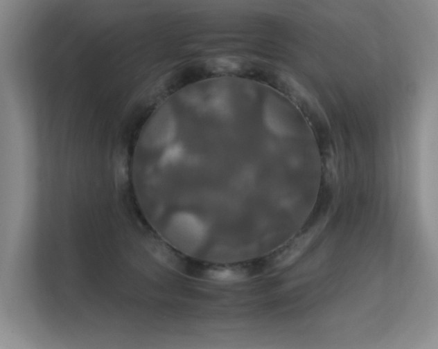 X0000112010561200908101344