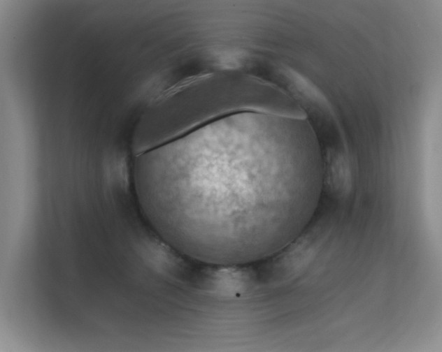 X0000112010562200908101344