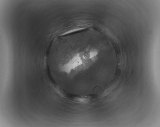 X0000112010563200908101344