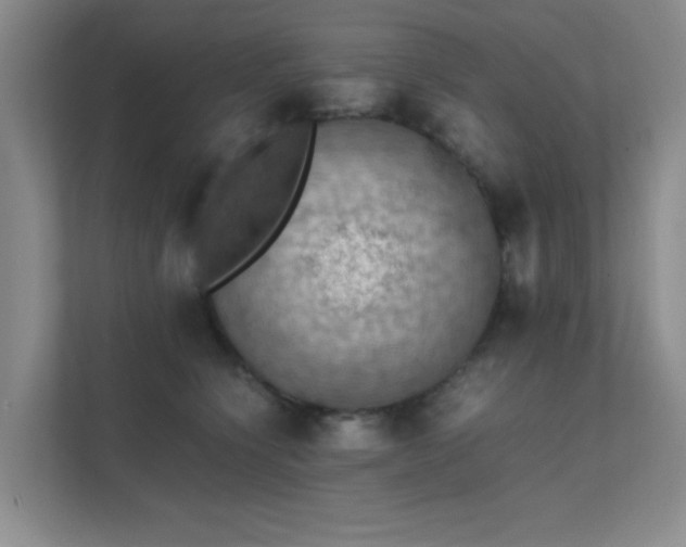 X0000112010564200908101344