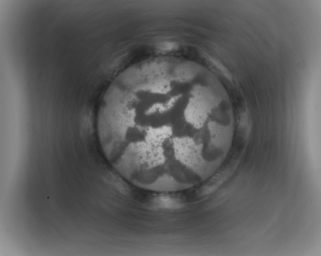 X0000112010565200908101344