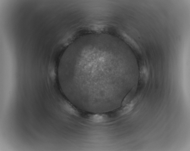 X0000112010566200908101344