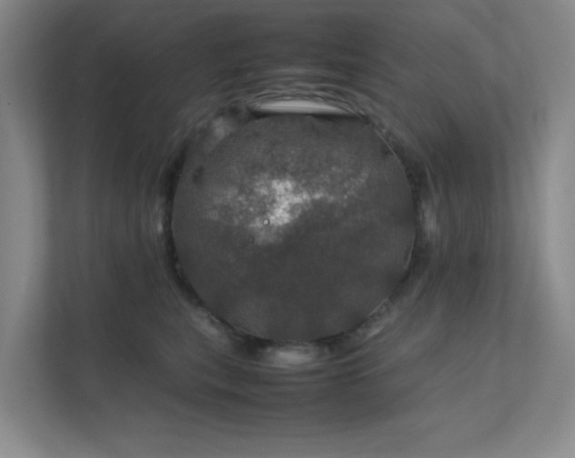 X0000112010567200908101344