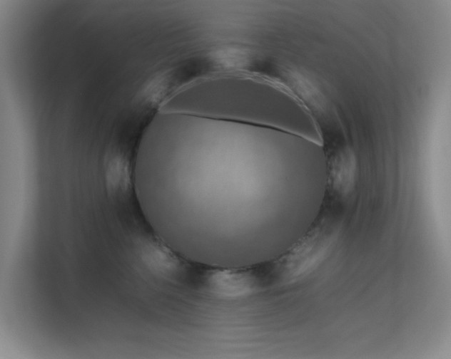 X0000112010568200908101344