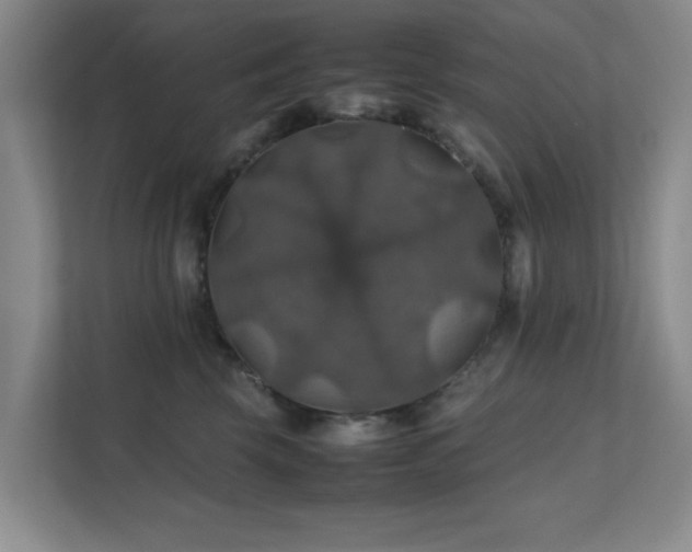 X0000112010569200908101344