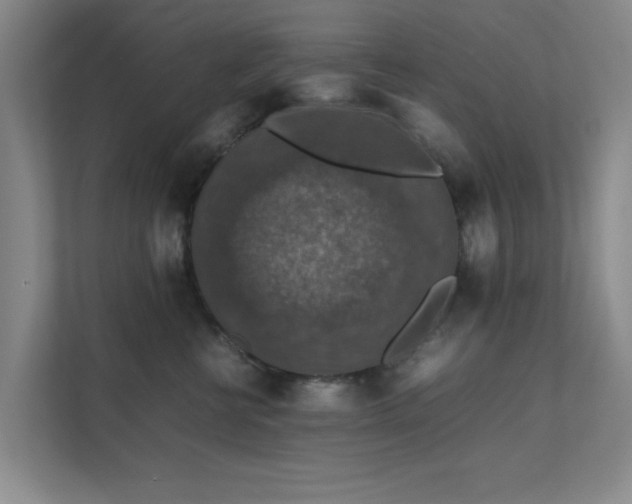 X0000112010570200908101344