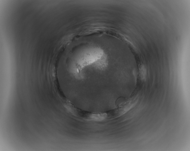 X0000112010571200908101344