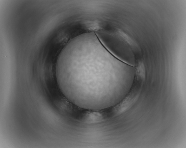 X0000112010572200908101344