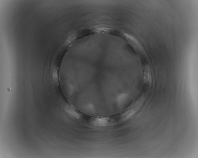 X0000112010573200908101344