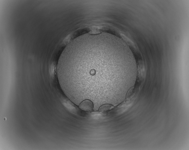 X0000112010574200908101344