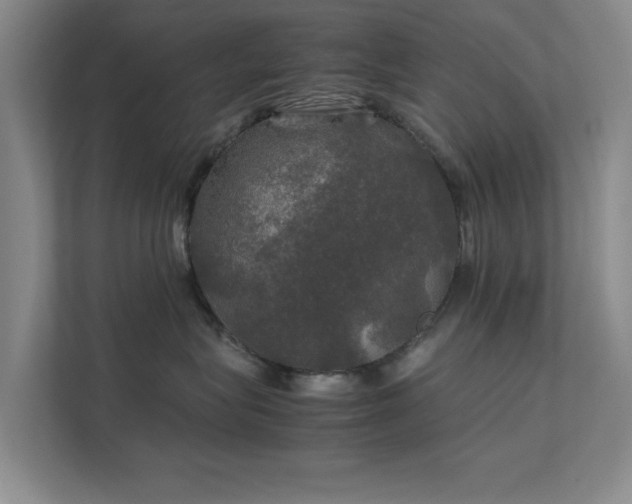 X0000112010575200908101344