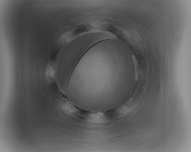 X0000112010576200908101344