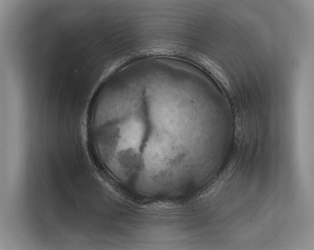 X0000112010578200908101344