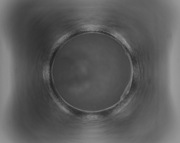 X0000112010581200908101344