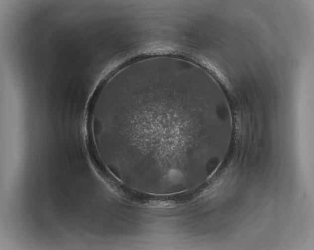 X0000112010582200908101344