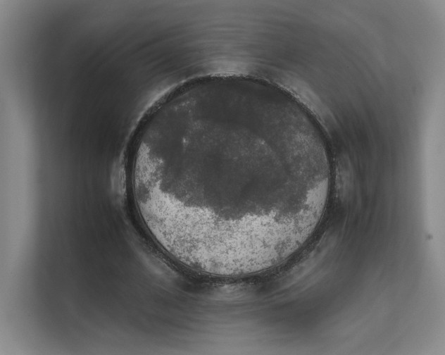 X0000112010584200908101344