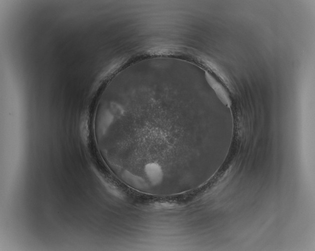 X0000112010586200908101344