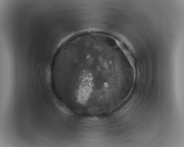 X0000112010588200908101343