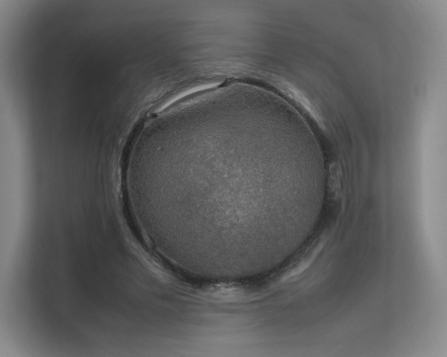 X0000112010589200908101343