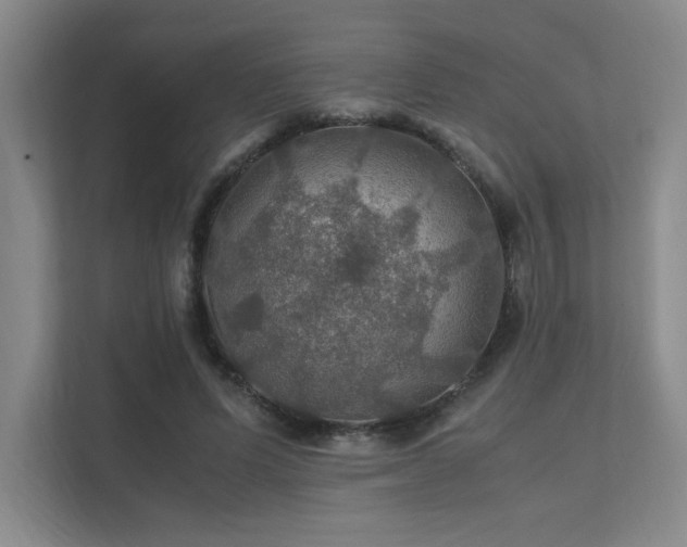 X0000112010591200908101343