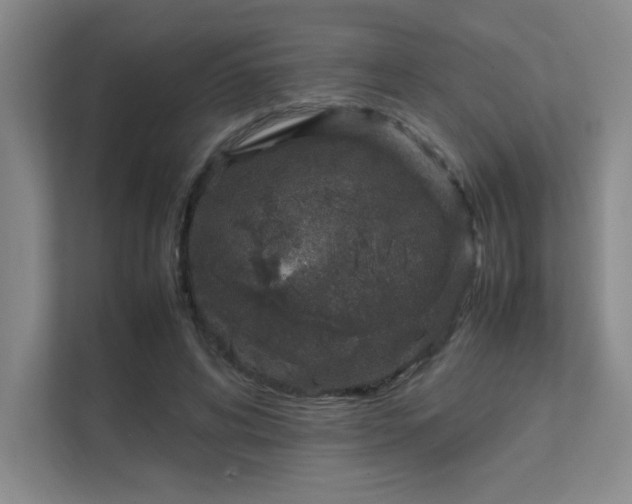 X0000112010592200908101343