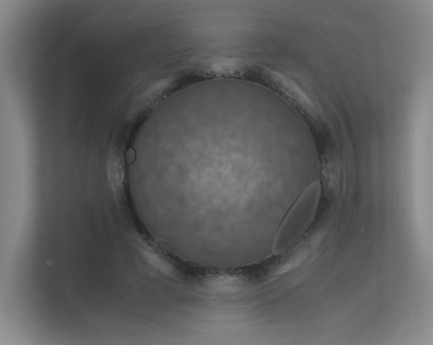 X0000112010593200908101343