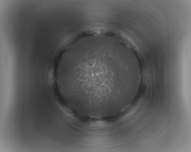 X0000112010594200908101343