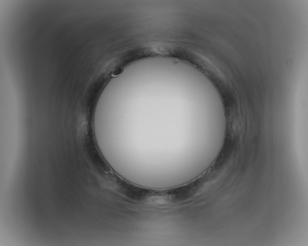 X0000112010595200908101343