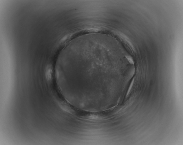 X0000112010596200908101343