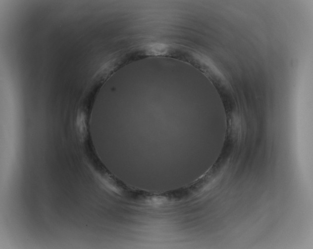 X0000112010598200908101343