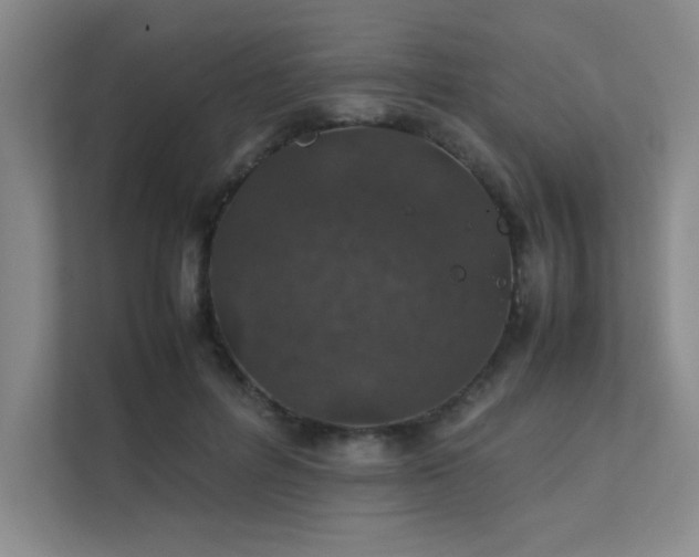 X0000112010600200908101343