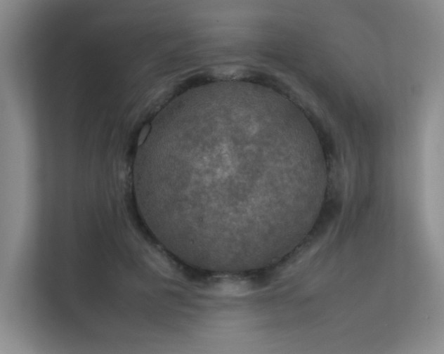 X0000112010601200908101343