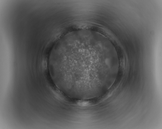 X0000112010602200908101343