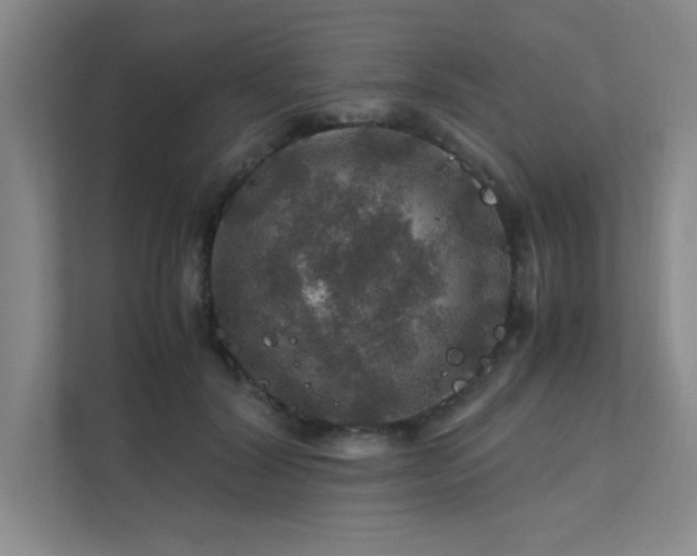 X0000112010604200908101343