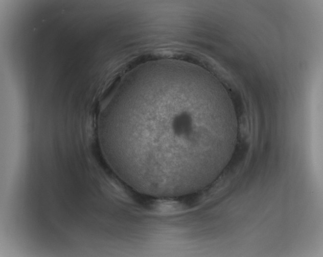 X0000112010605200908101343