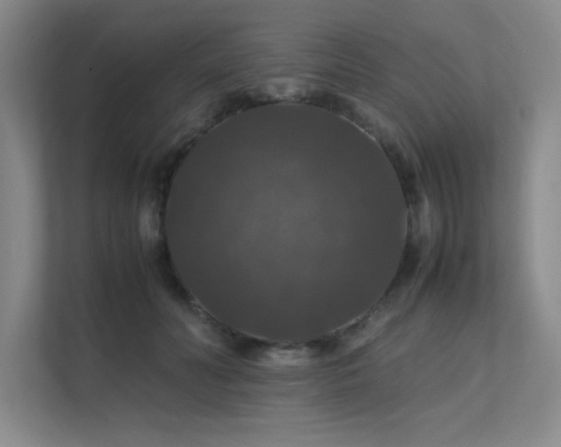 X0000112010606200908101343