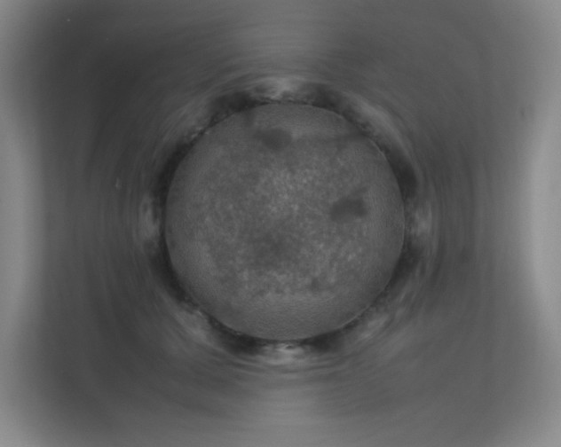 X0000112010607200908101343