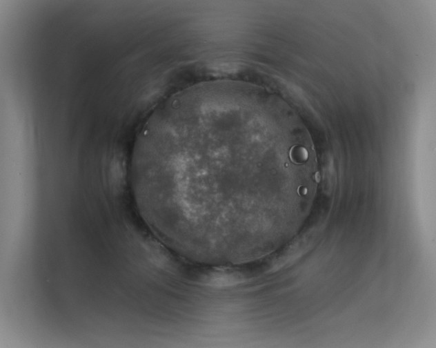 X0000112010608200908101343