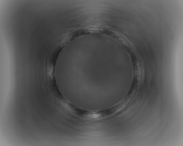 X0000112010610200908101343