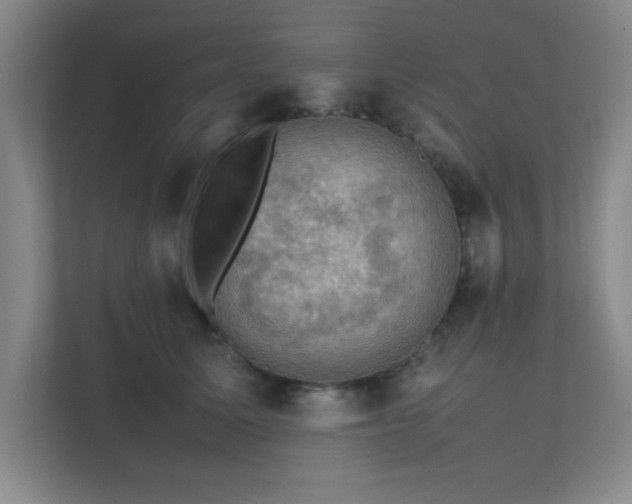 X0000112010611200908101343