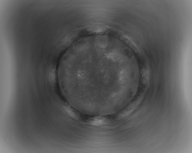 X0000112010612200908101343