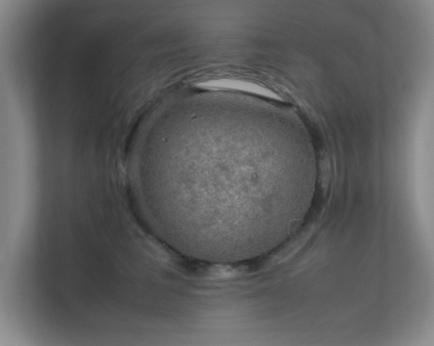 X0000112010613200908101343