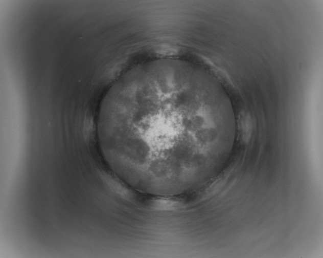 X0000112010614200908101343